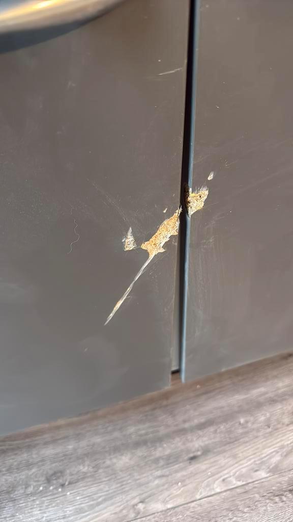 Gratis keuken kleine beschadiging ophalen in rotterdam