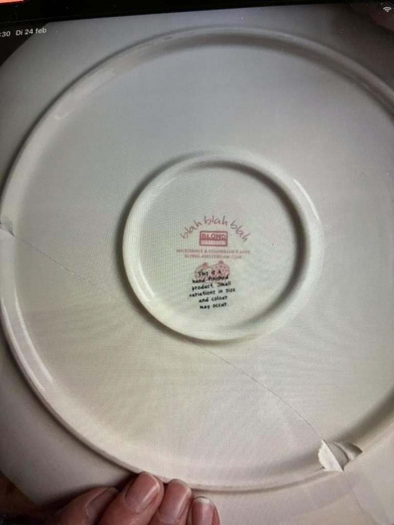 Gratis: Supergroot bord 32 cm Blond Amsterdan, gerepareerd.