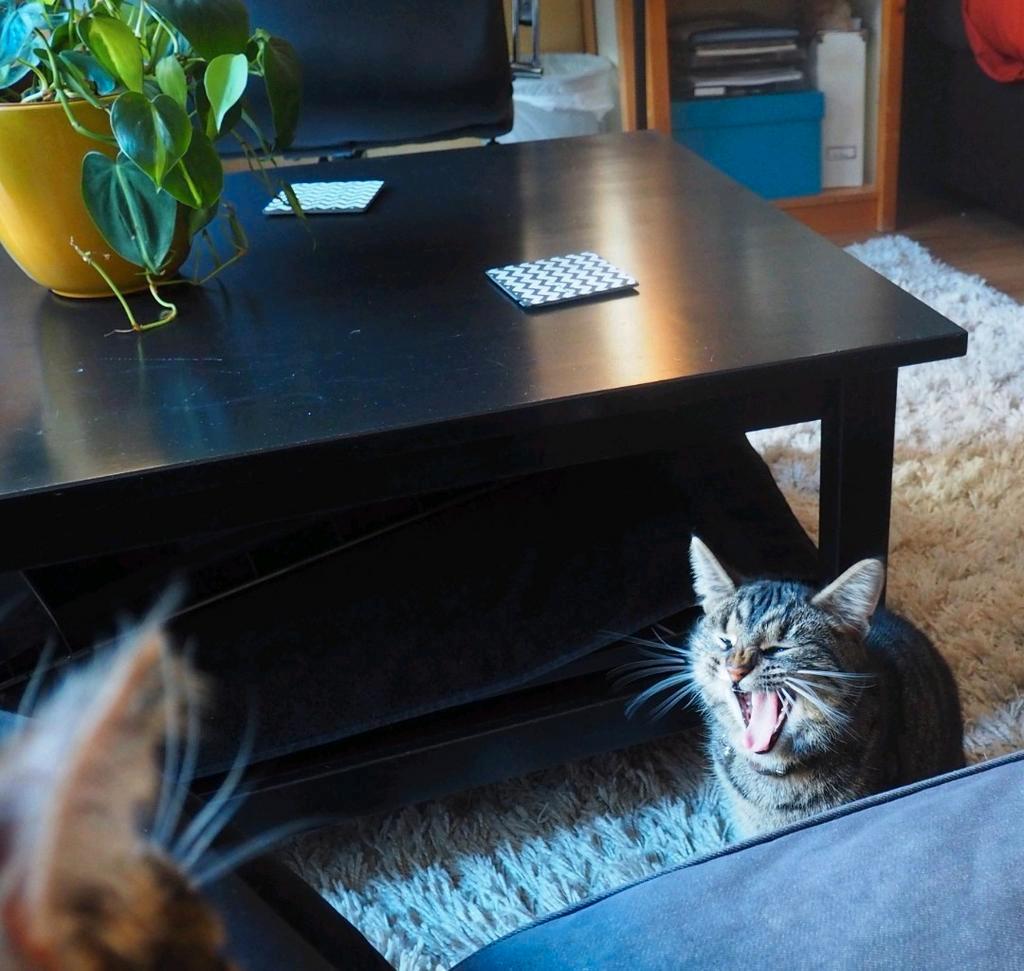 Zwarte IKEA Salontafel - Gratis!